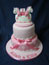 Christening and Baby Shower cakes made by Moira’s Cakes