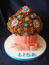 Ladies and Girls Cakes made by Moira’s Cakes
